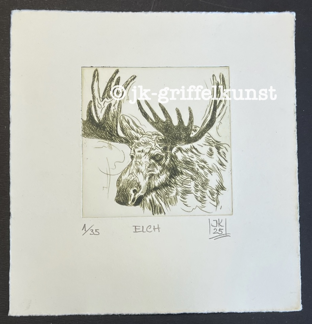 Originalradierung Elch