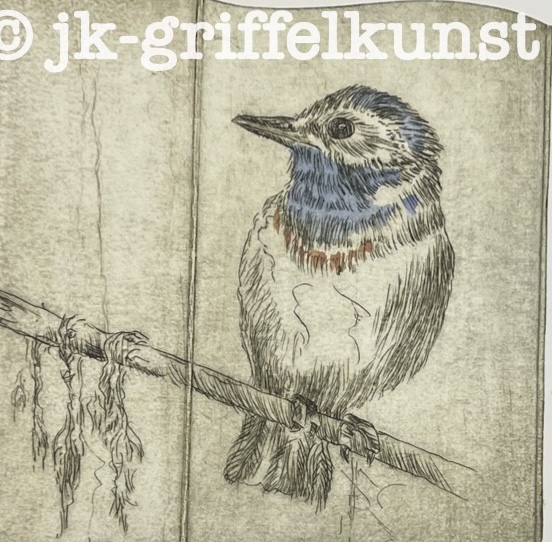 Originalradierung Blaukehlchen