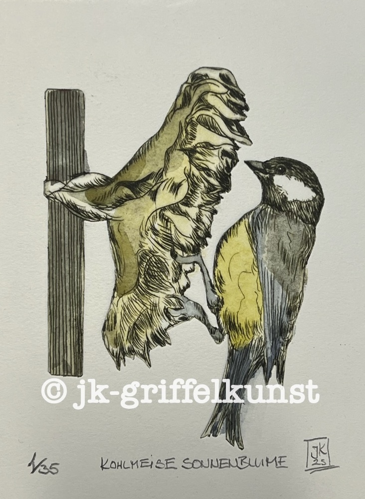 Originalradierung Kohlmeise Sonnenblume