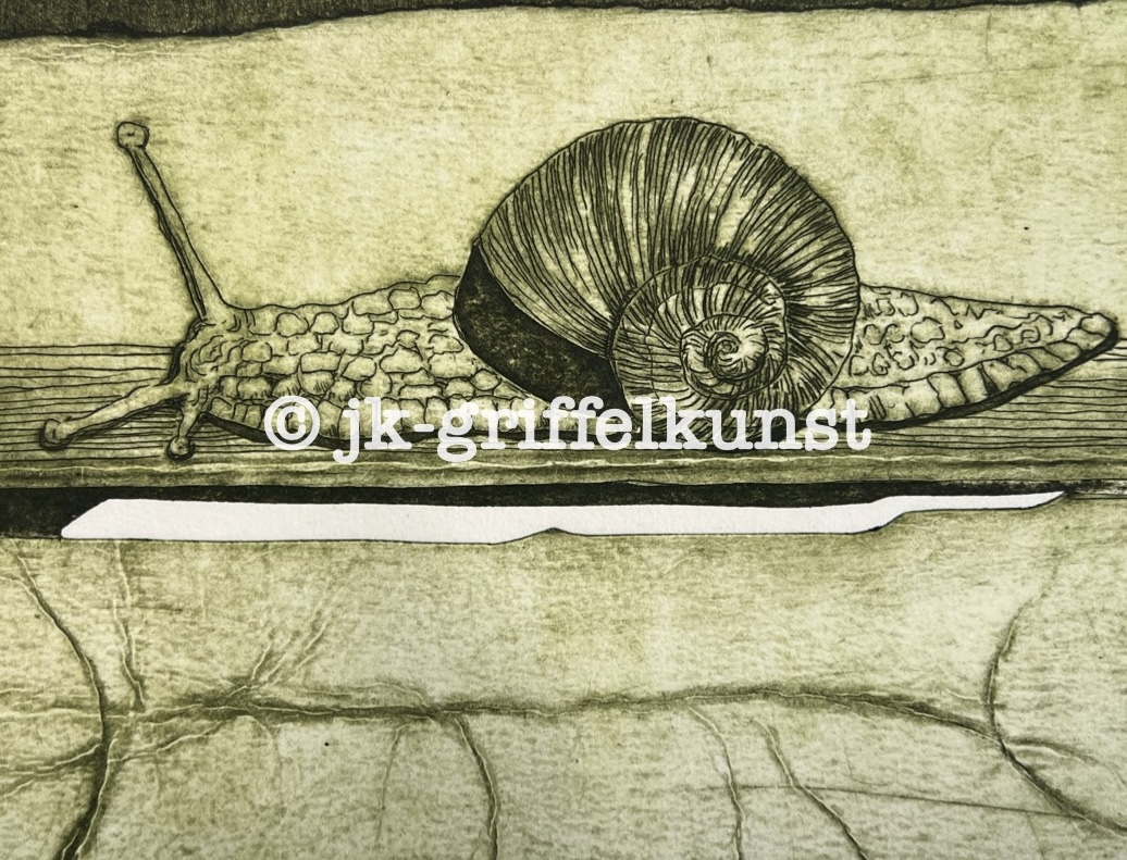 Originalradierung Schnecke