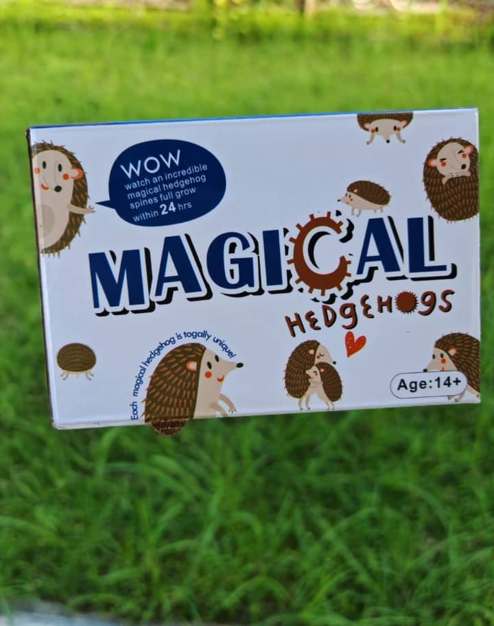 Magical Hedgehogs