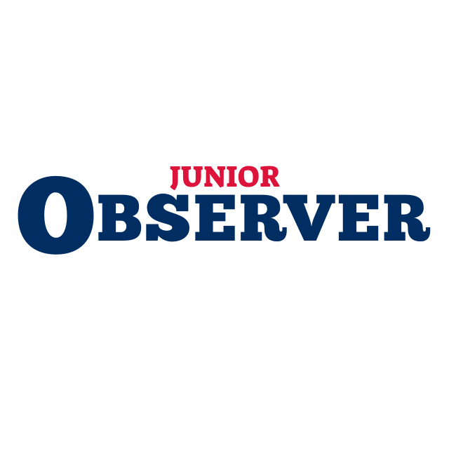 Junior Observer