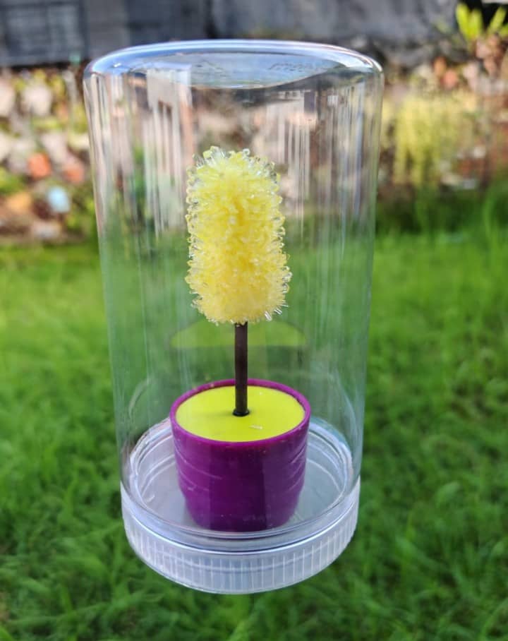 Crystal Tree Science Kit