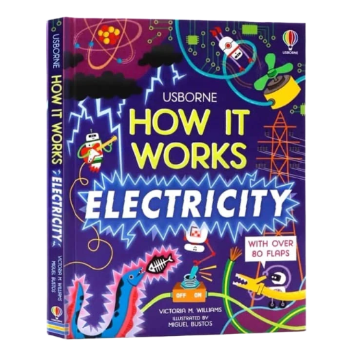 How It Works : ELECTRICITY