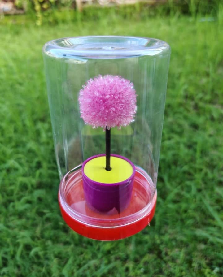 Crystal Flower Science Kit