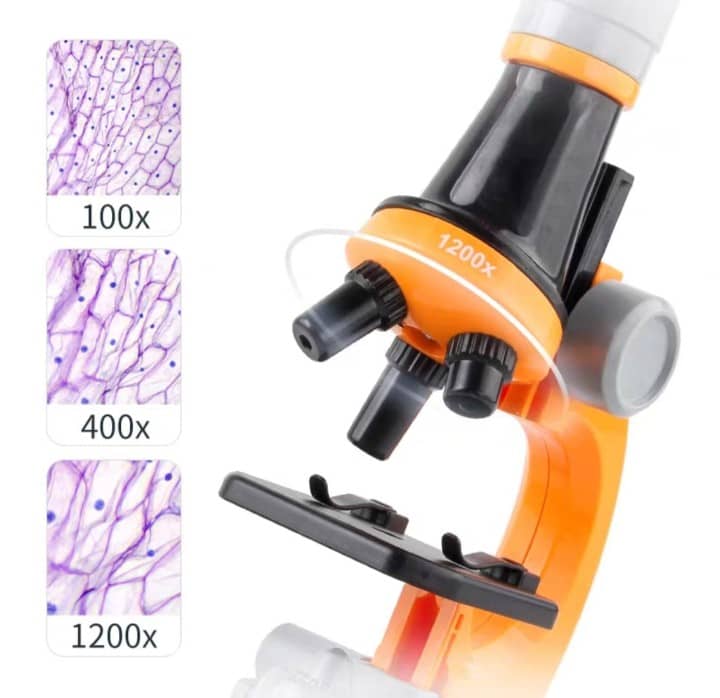 XD168 Scientific Microscope