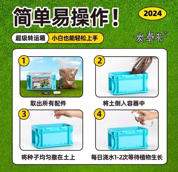 Plant Good Luck Transfer Box