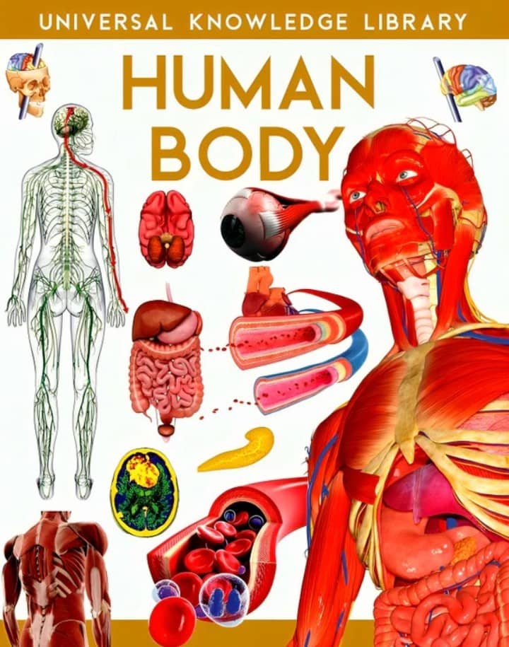 Universal Knowledge Library : Human Body