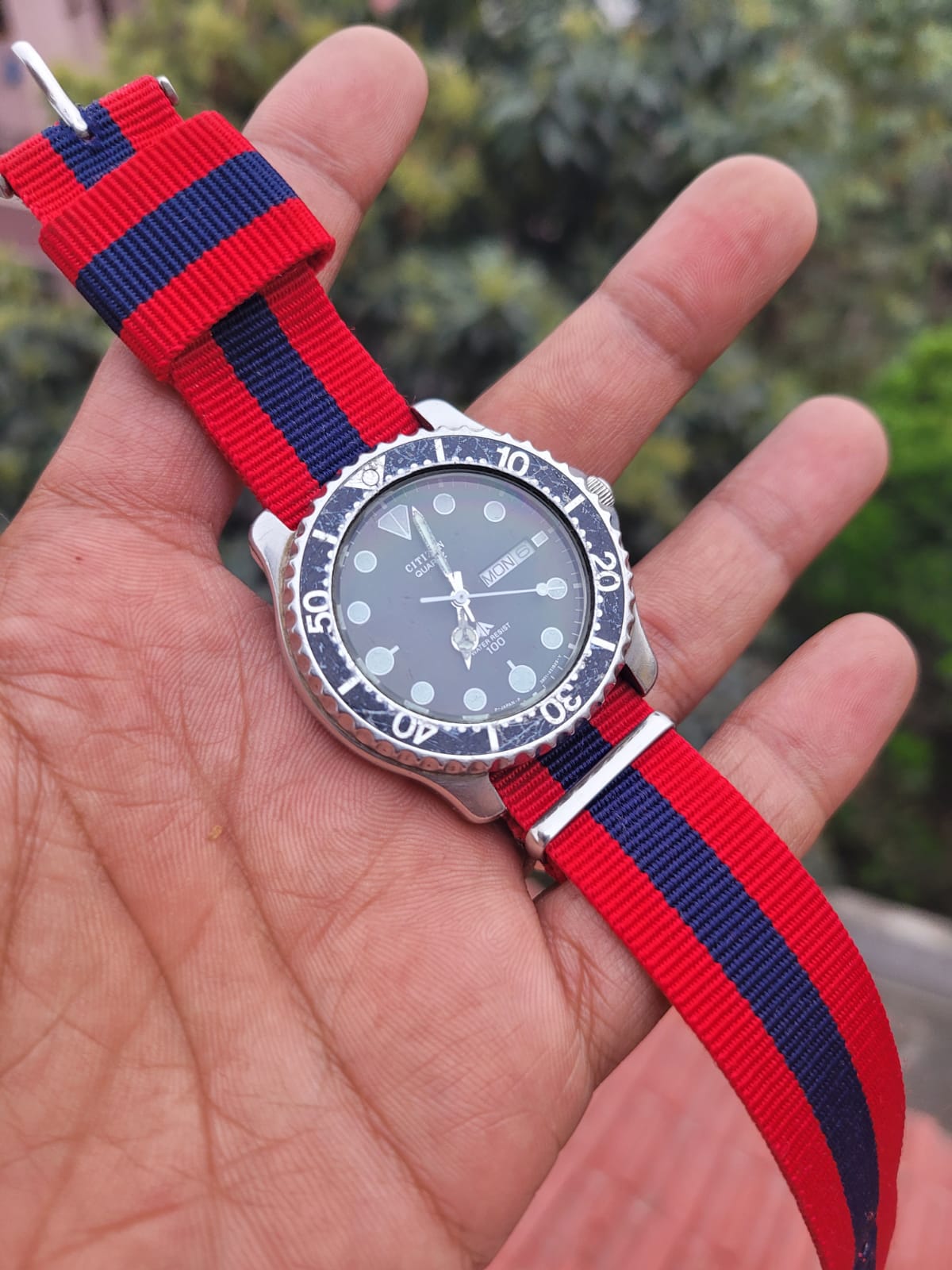 Citizen Vintage Quartz Diver