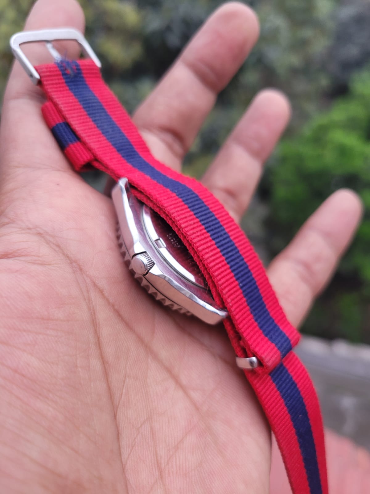 Citizen Vintage Quartz Diver