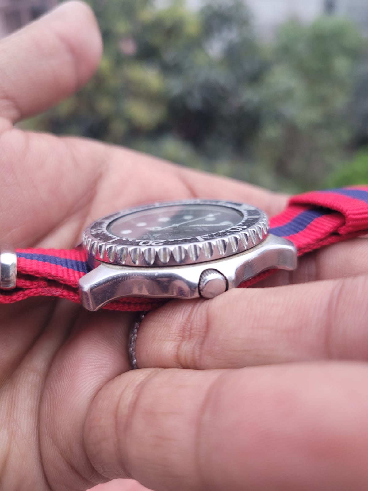 Citizen Vintage Quartz Diver