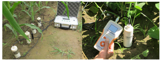 Digital Display Soil Moisture Meter