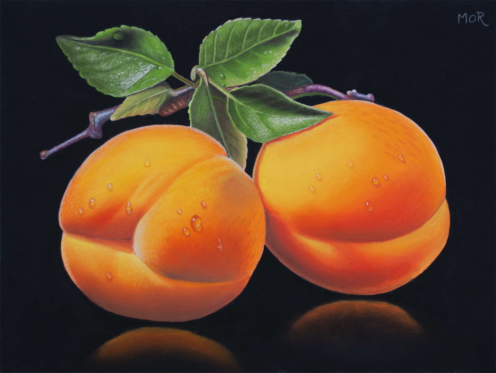 Apricots and Leaves