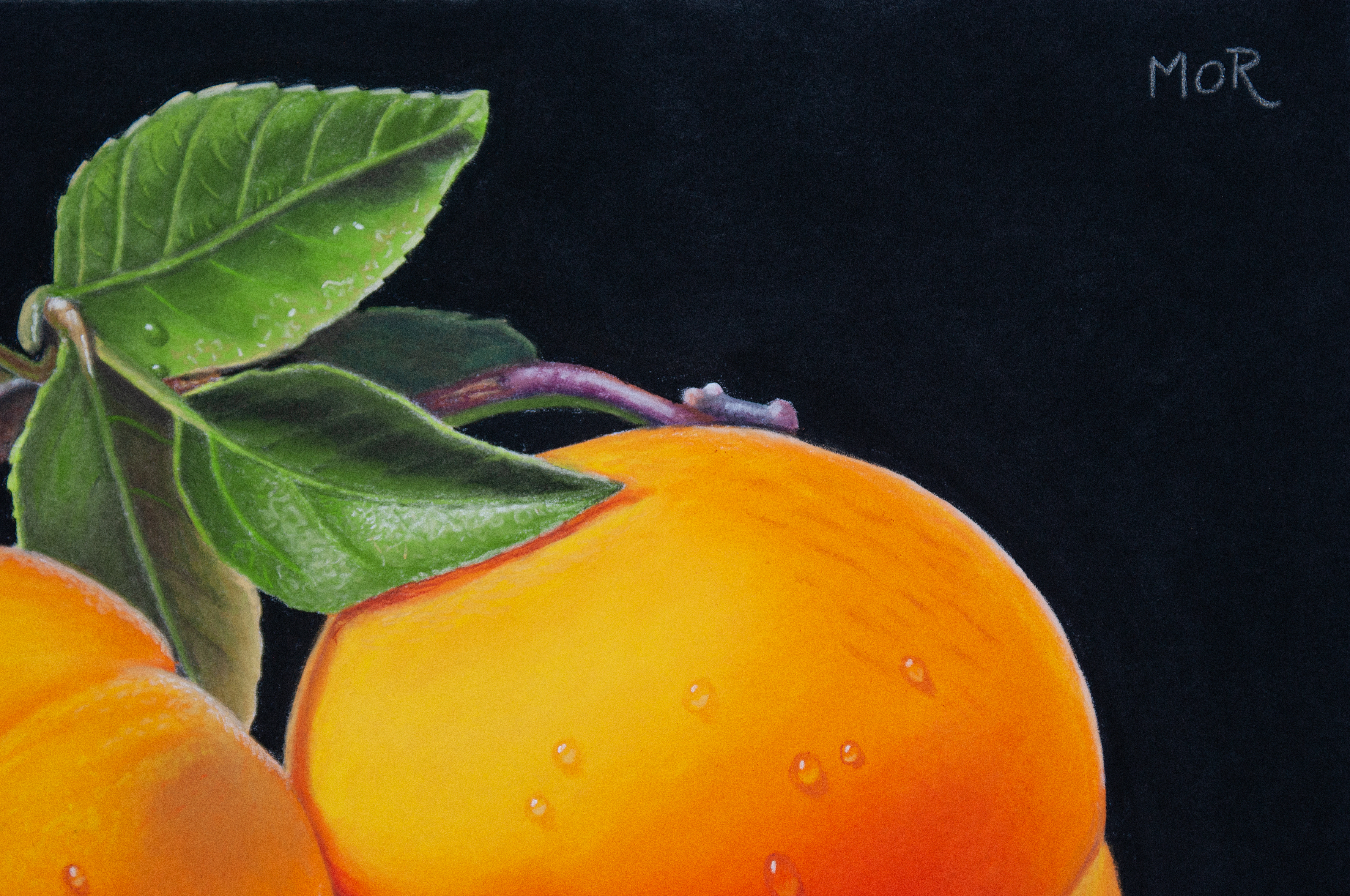 Apricots and Leaves