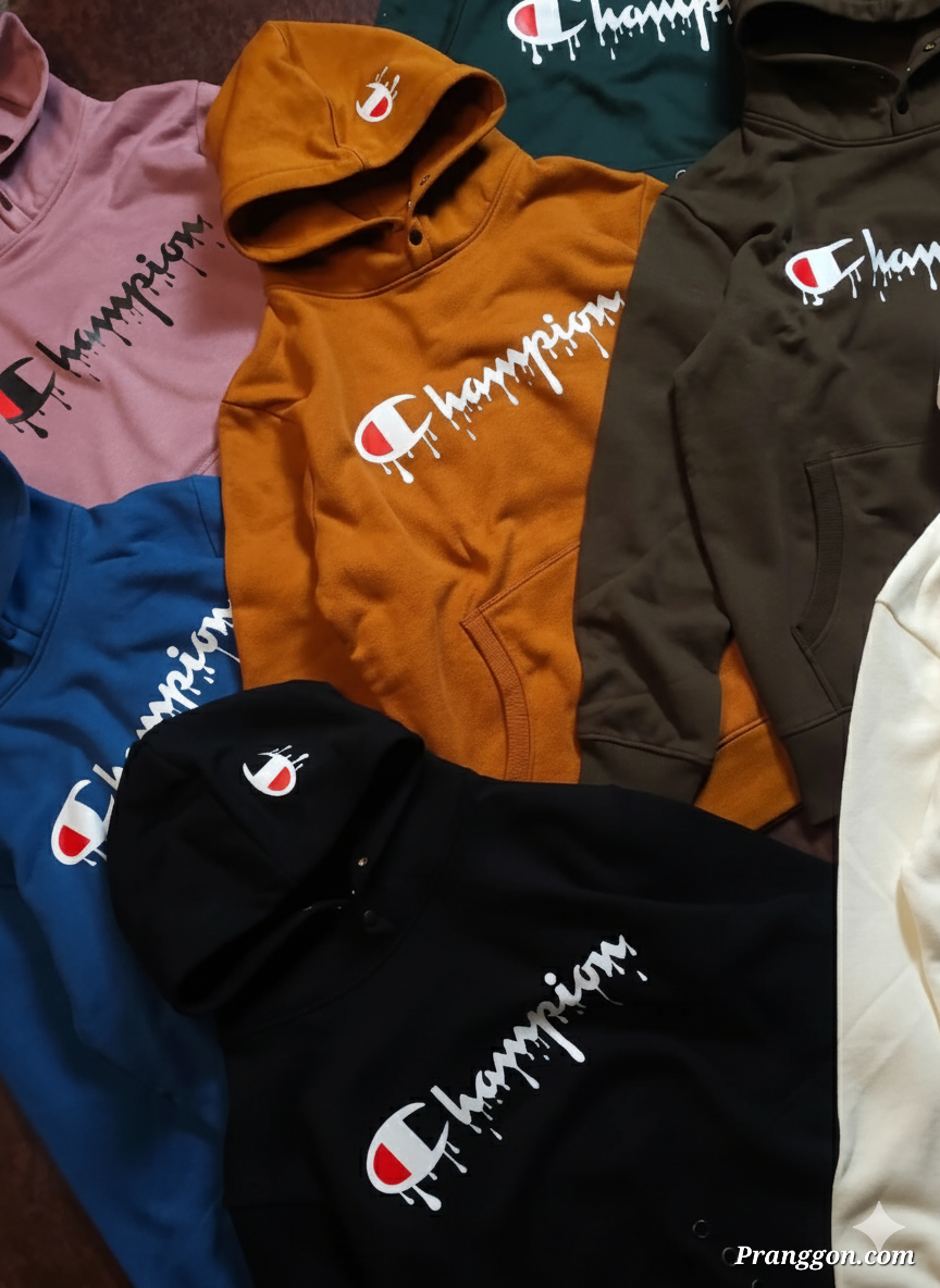 Stylish champion Hoodie For man🔥