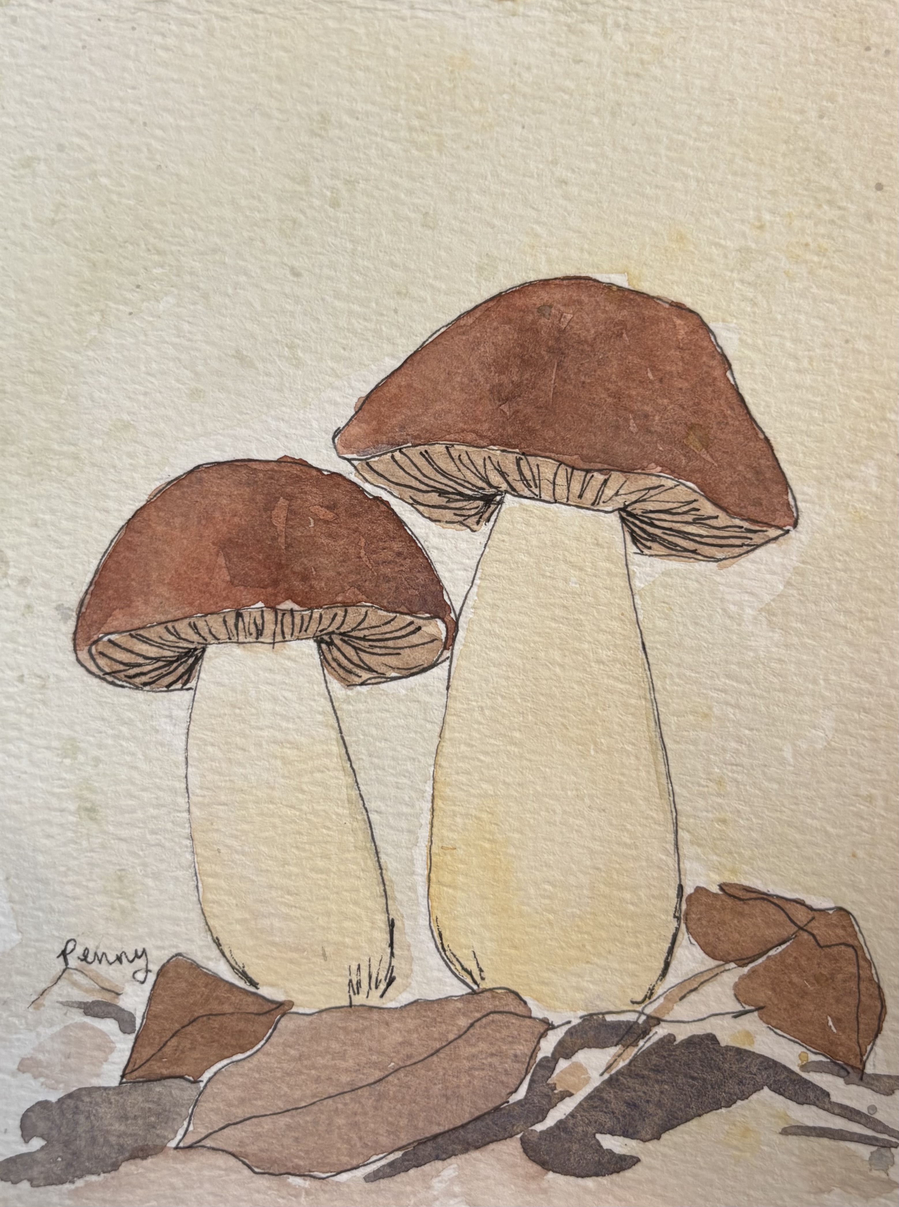 Autumnal Mushrooms