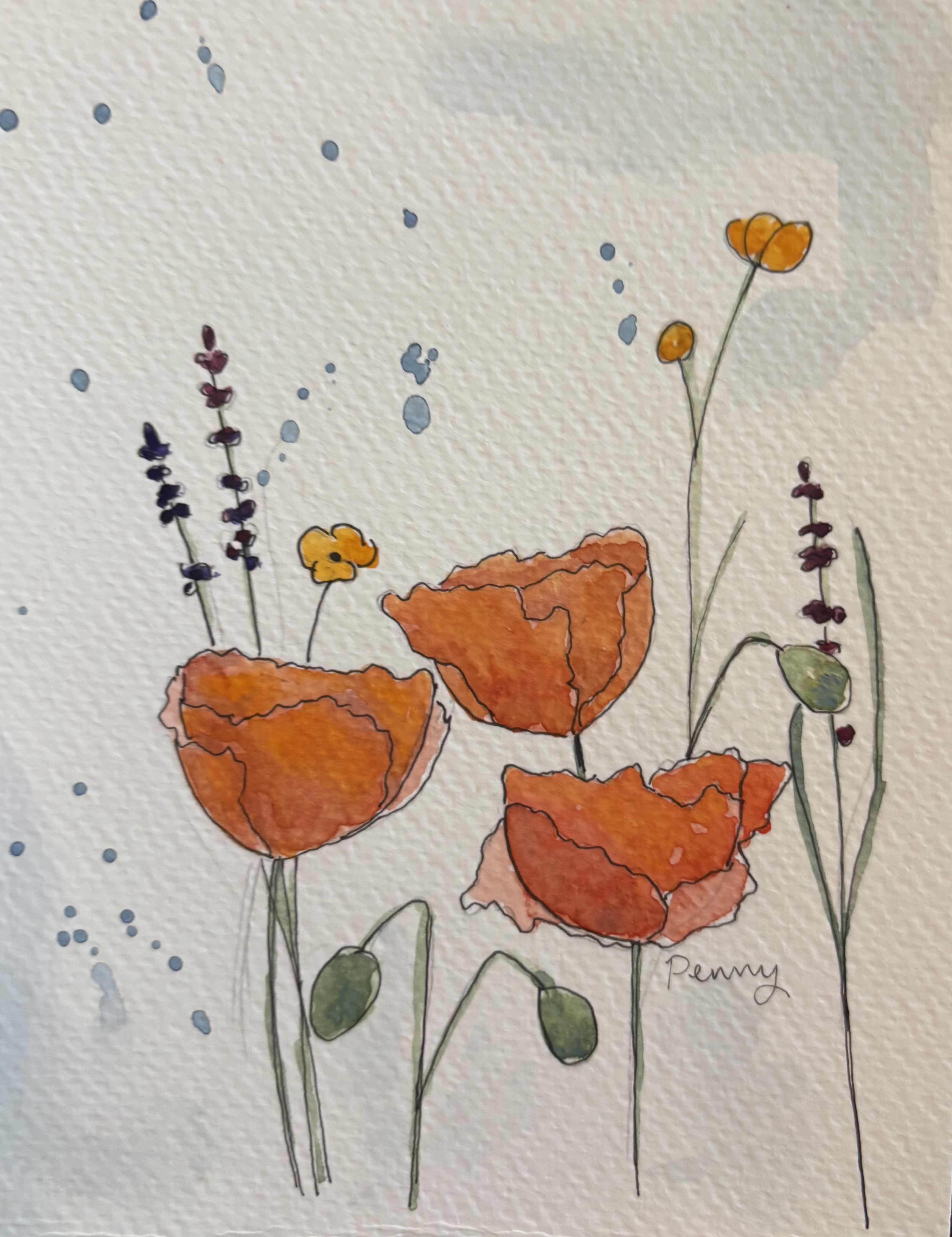 Poppies and Wildflowers