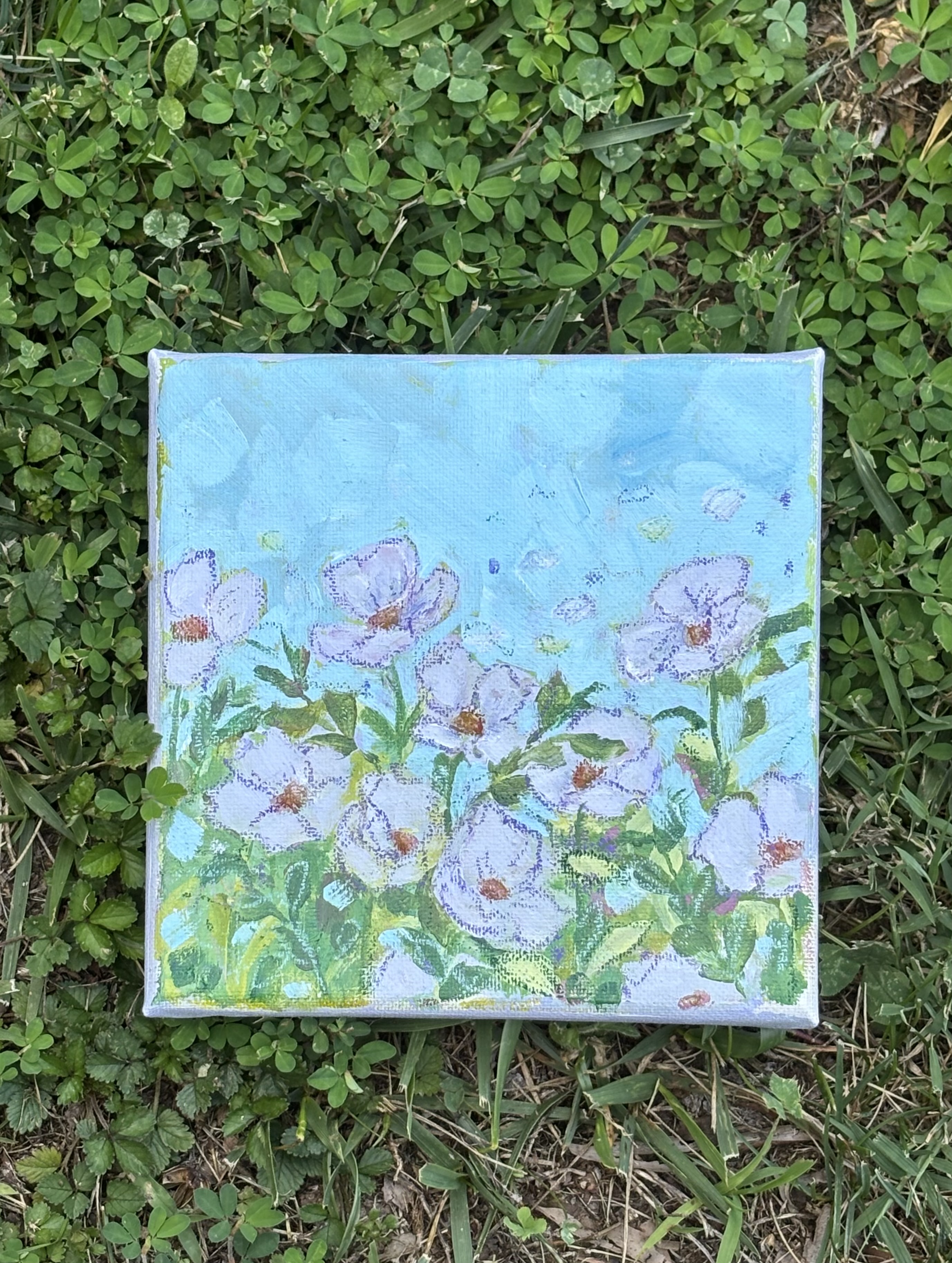 Light Purple Flower Meadow