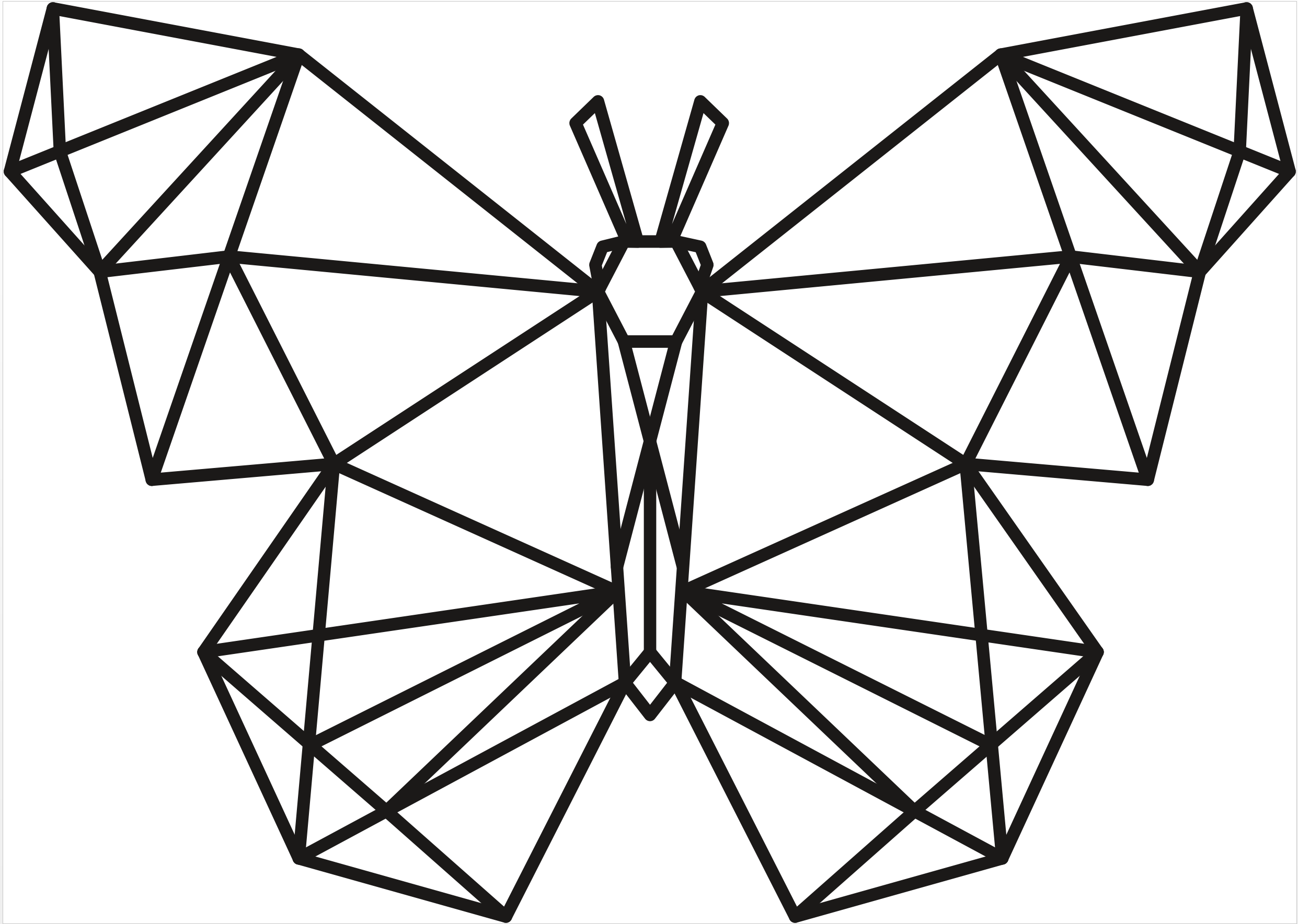 Geometrijski leptir (mali)