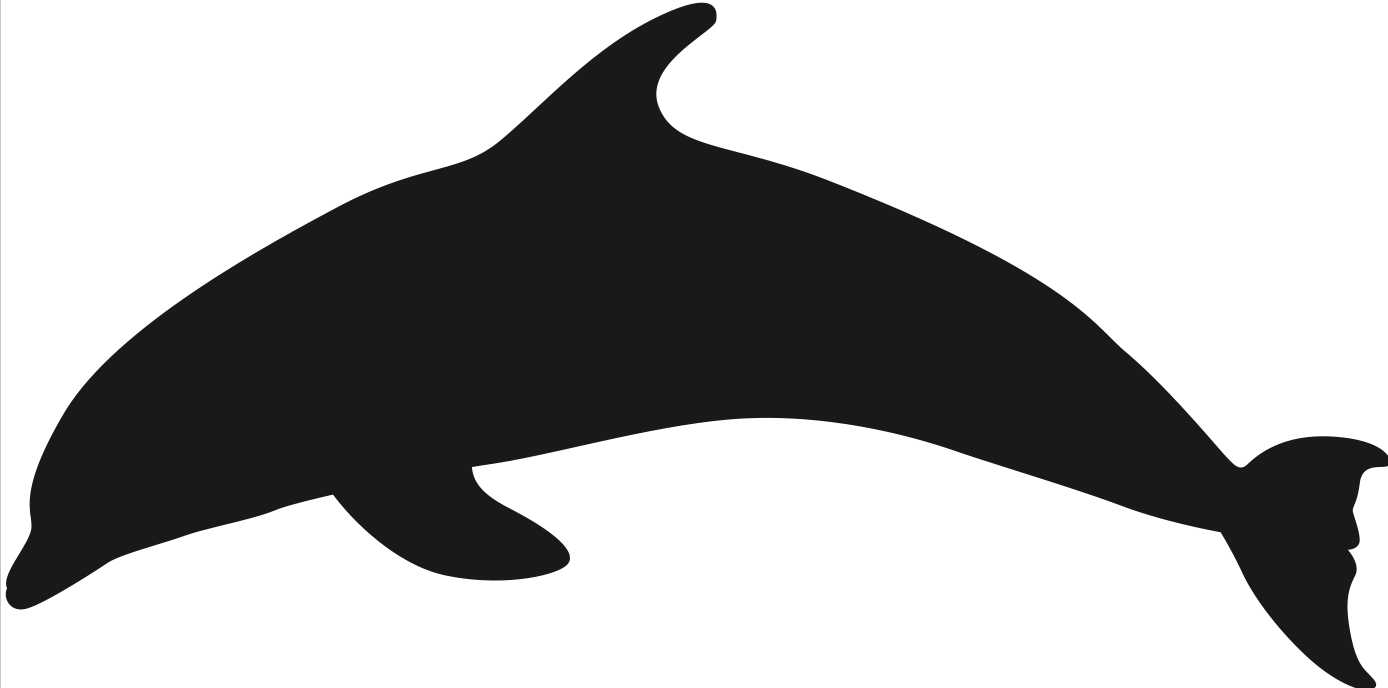 Zidna silueta - delfin (velika)