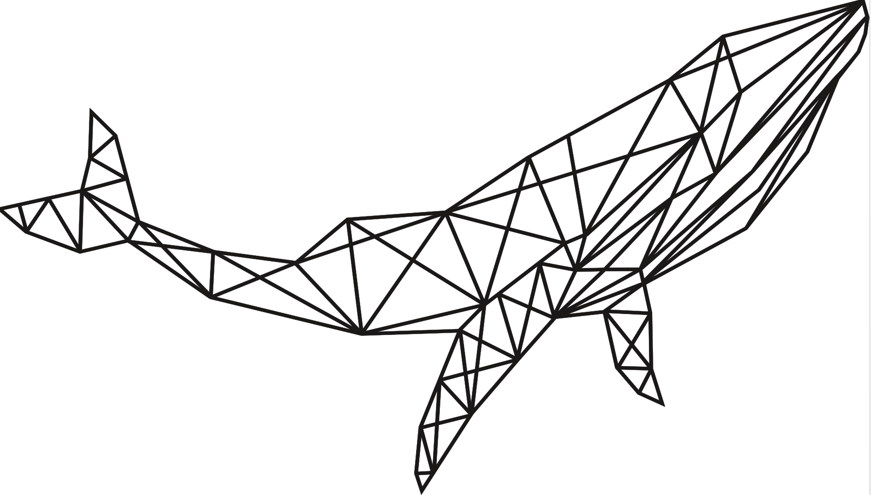 Geometrijski kit (veliki)