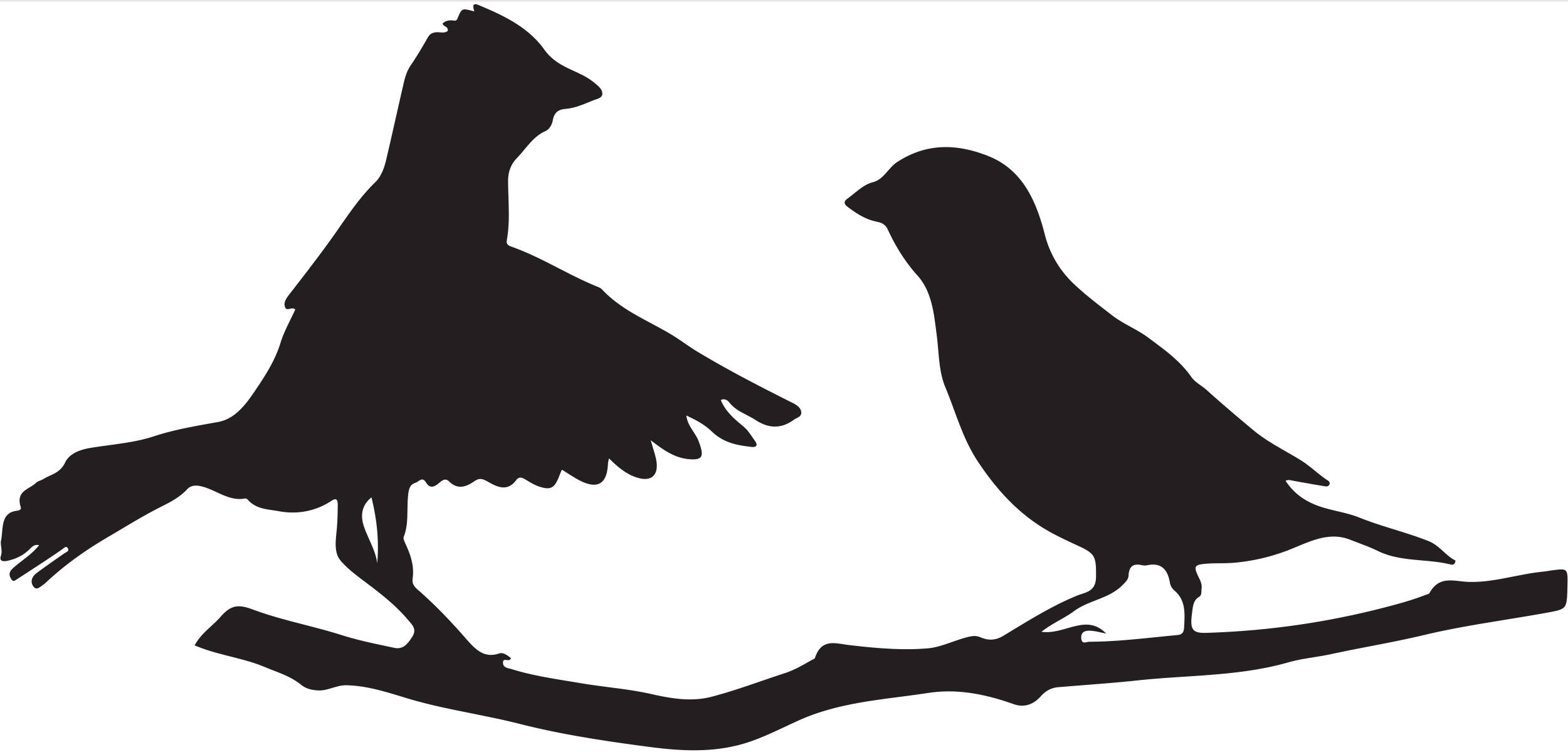 Zidna silueta - ptice (velika)