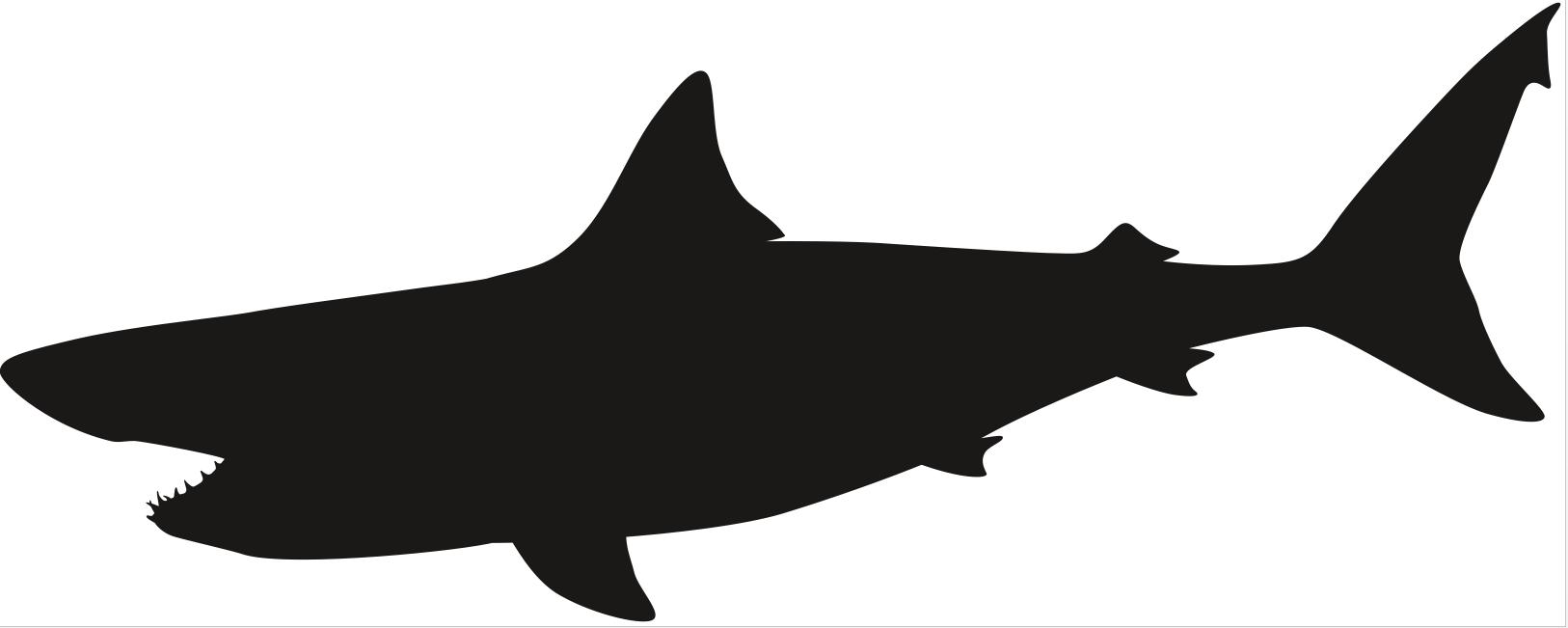 Zidna silueta - morski pas (velika)