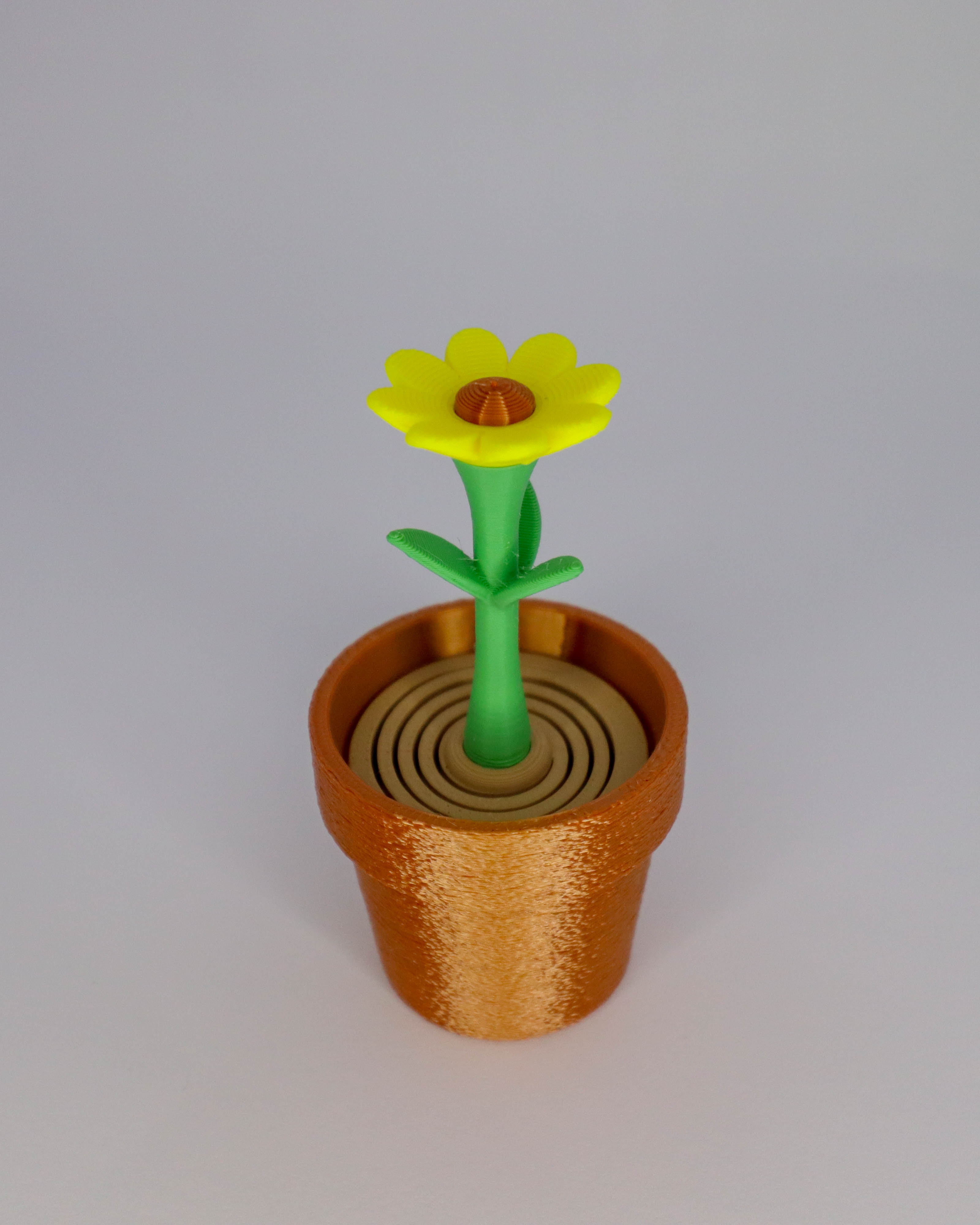 Malo cvijeće u vazi