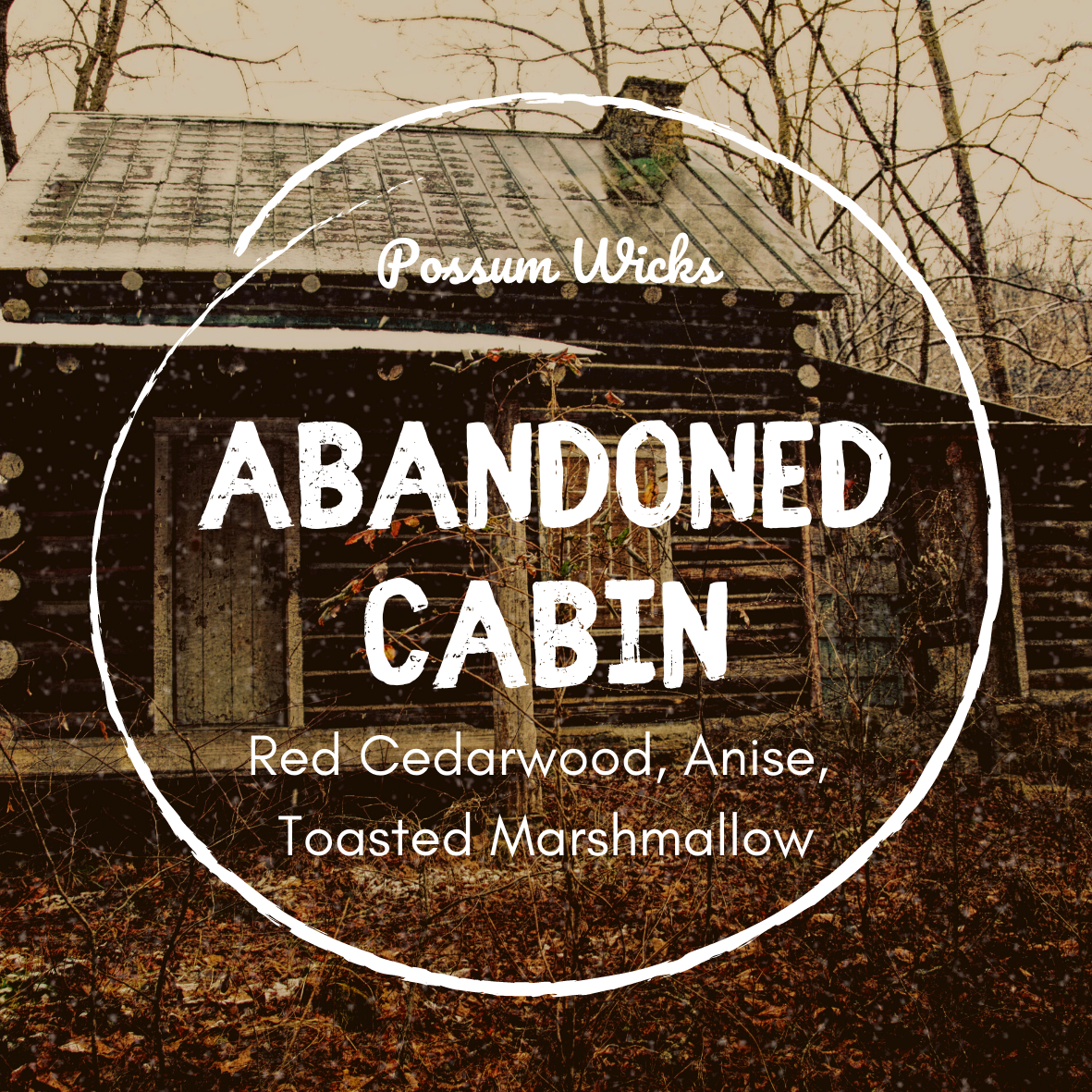 Abandoned Cabin