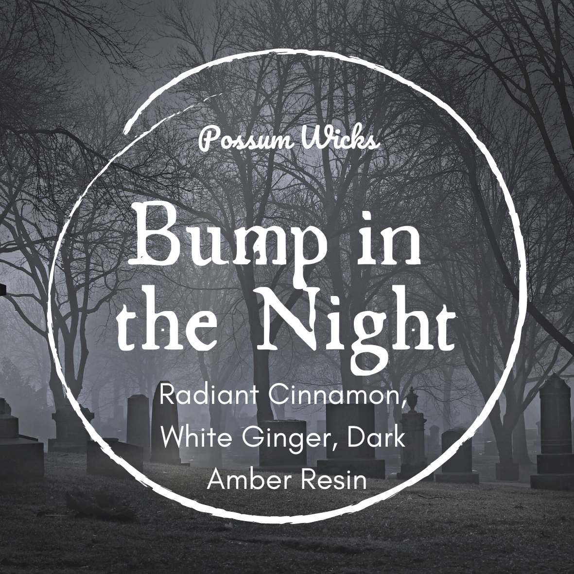 Bump In The Night