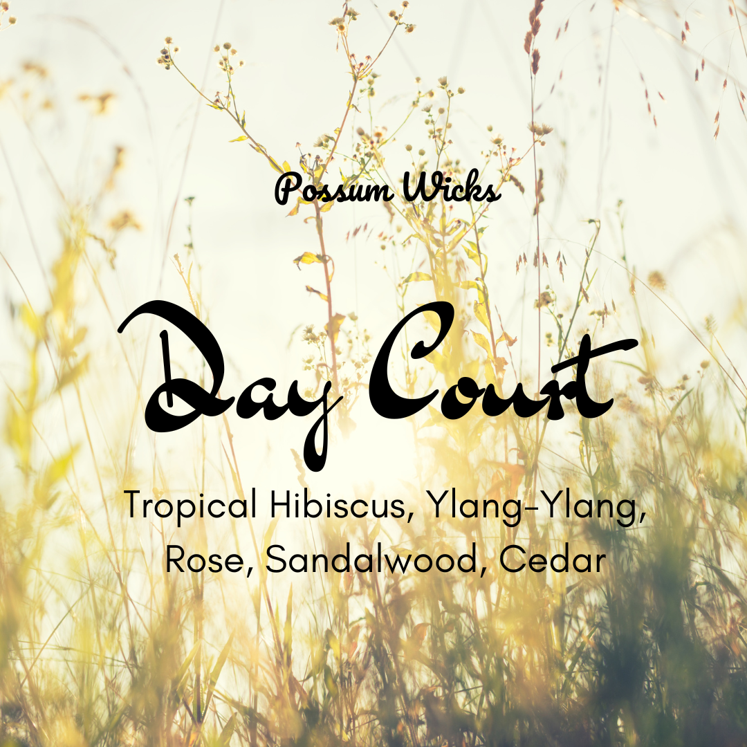 Day Court