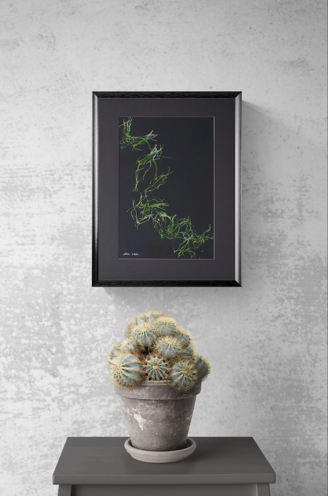 Filiforme Shapes 2025 Triptych