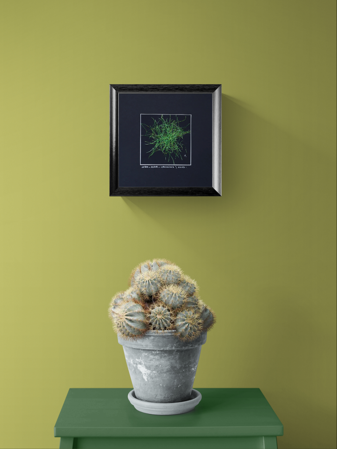 Searching for connections 2023