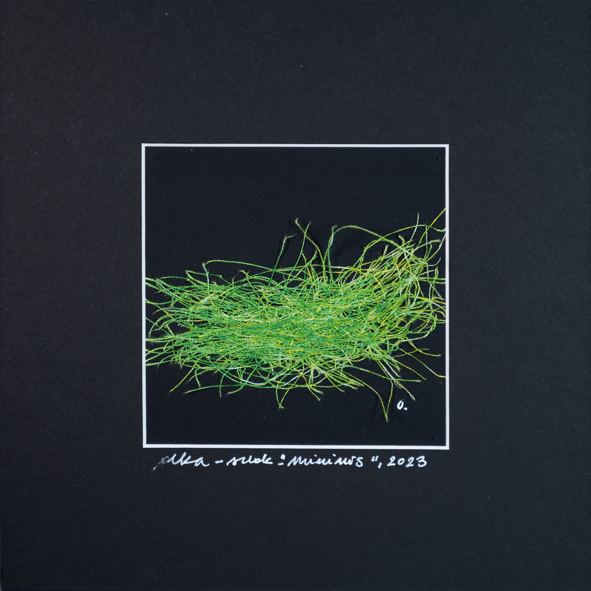 A Welcoming Nest 2023