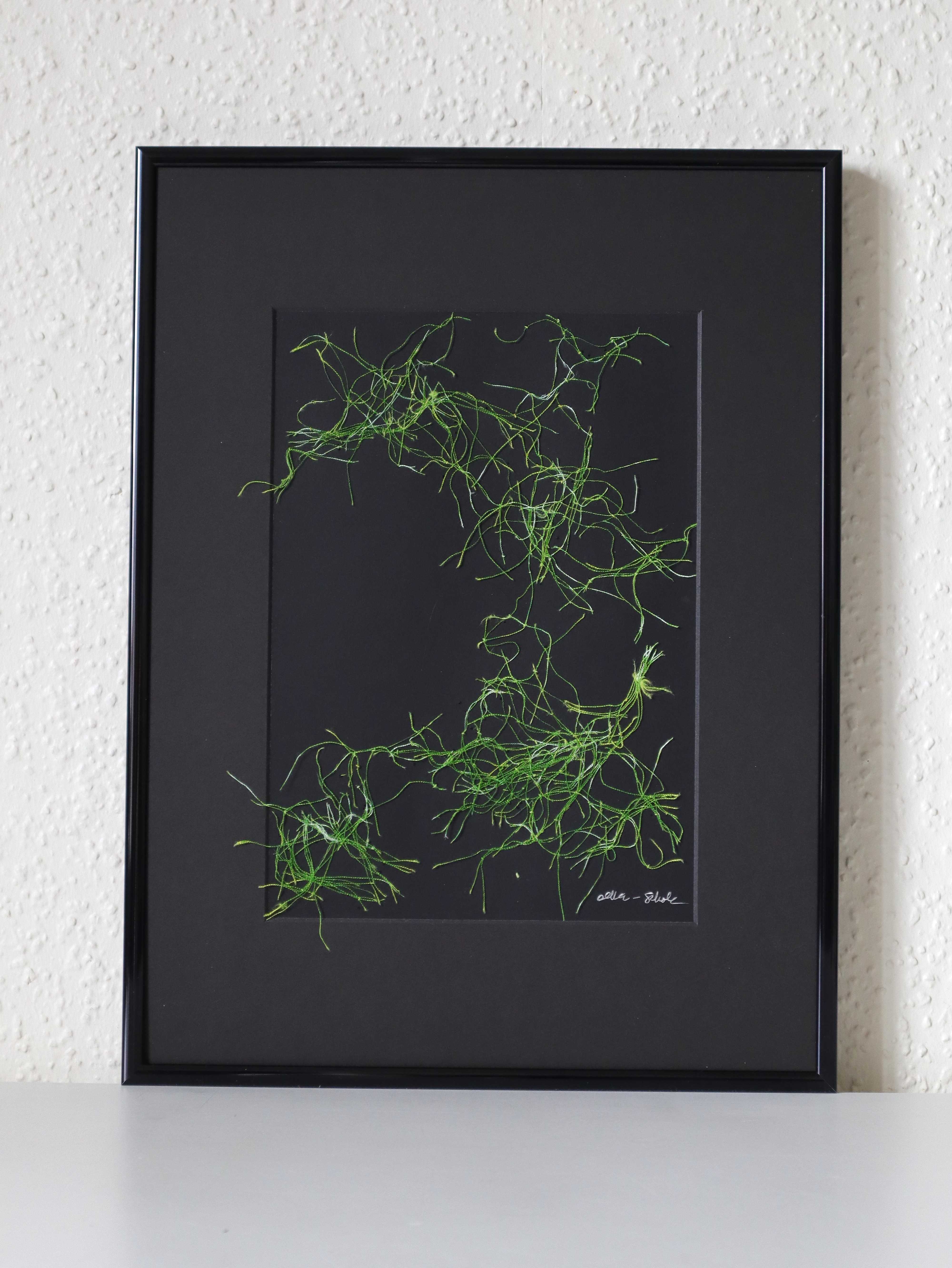 Filiforme 1 Shapes 2025