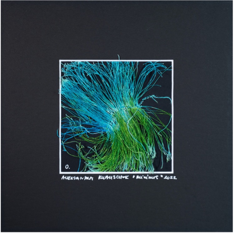 A Glimpse of a Peacock 2023