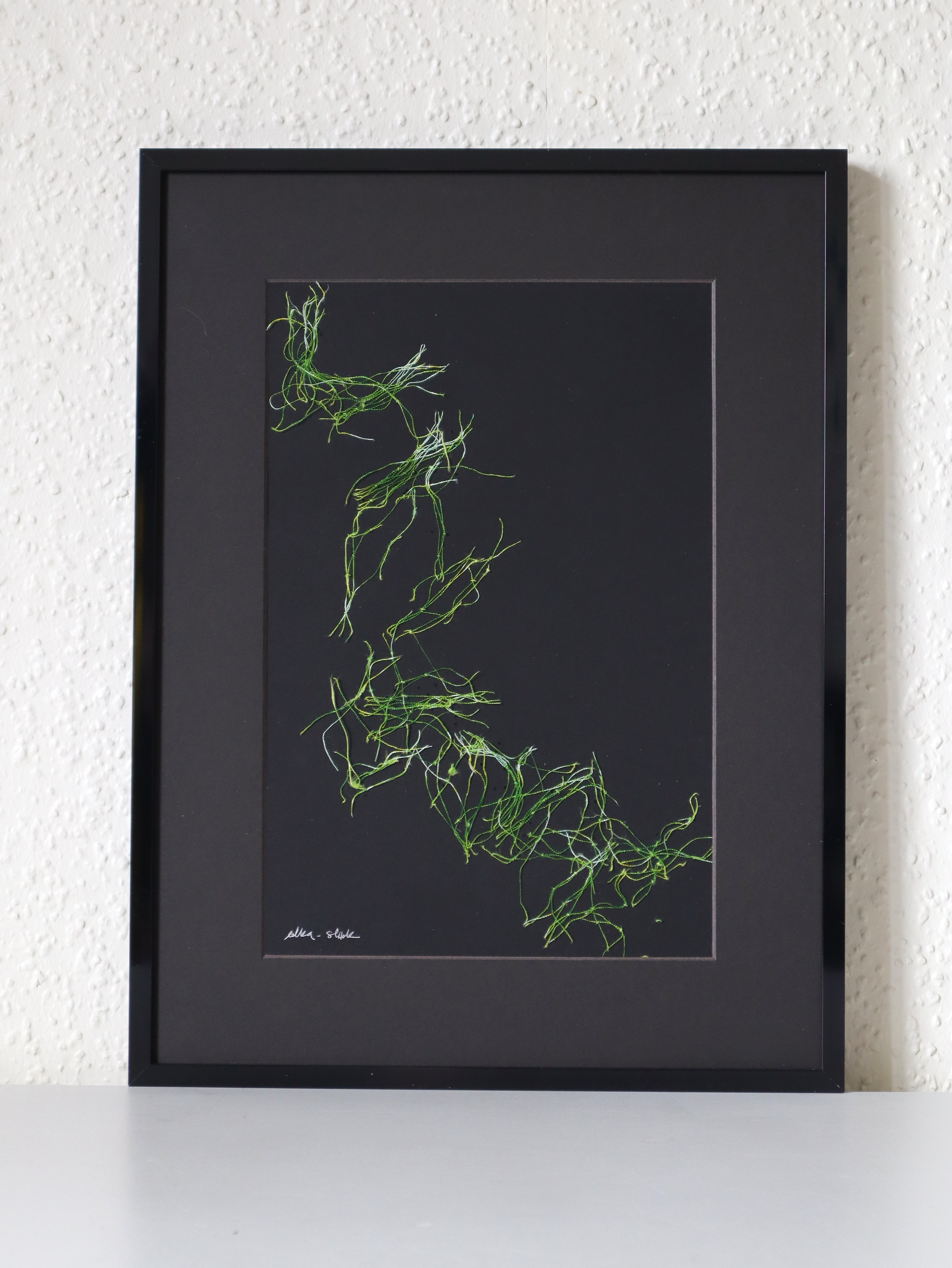 Filiforme 2 Shapes 2025