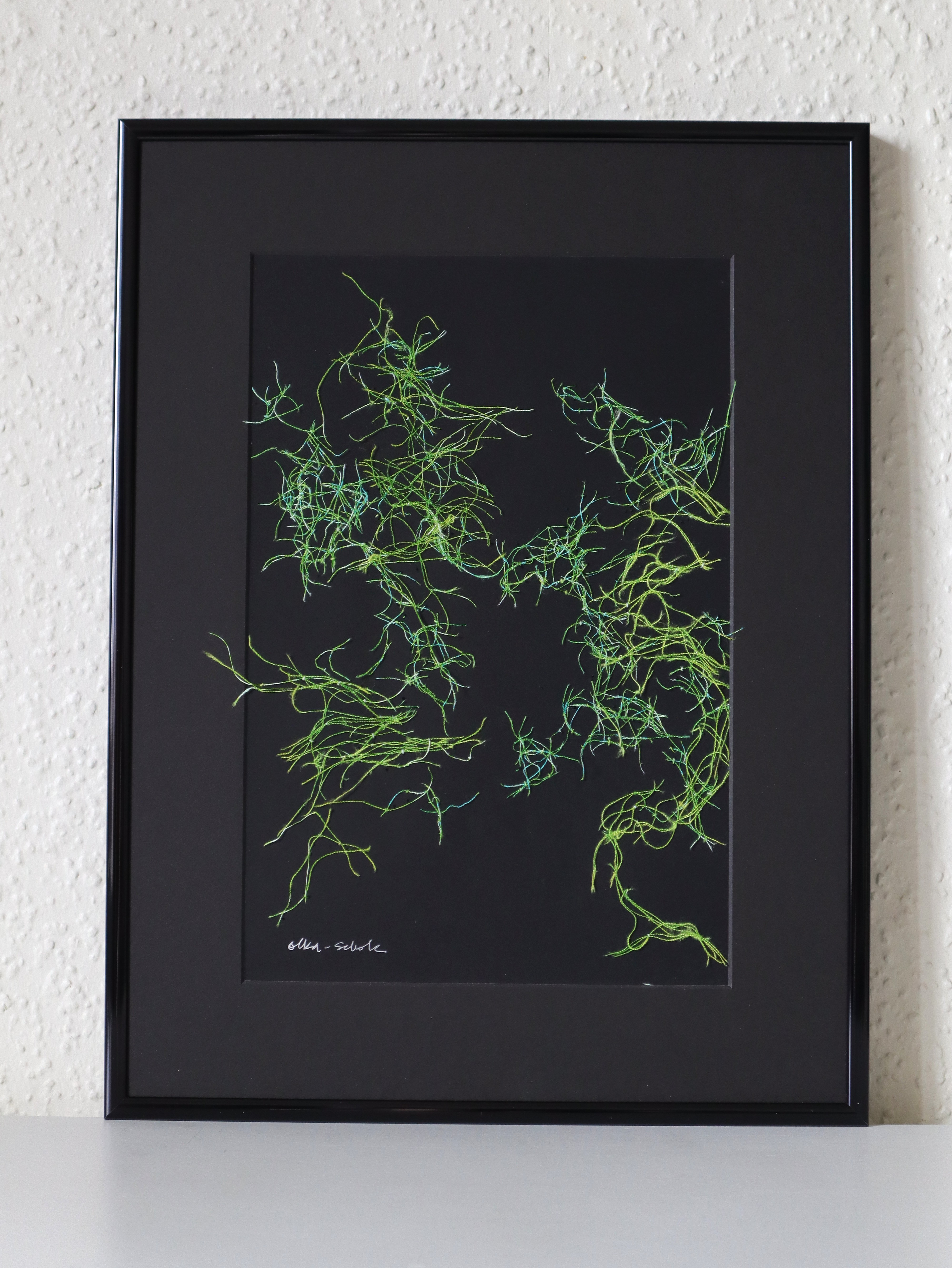 Filiforme 3 Shapes 2025