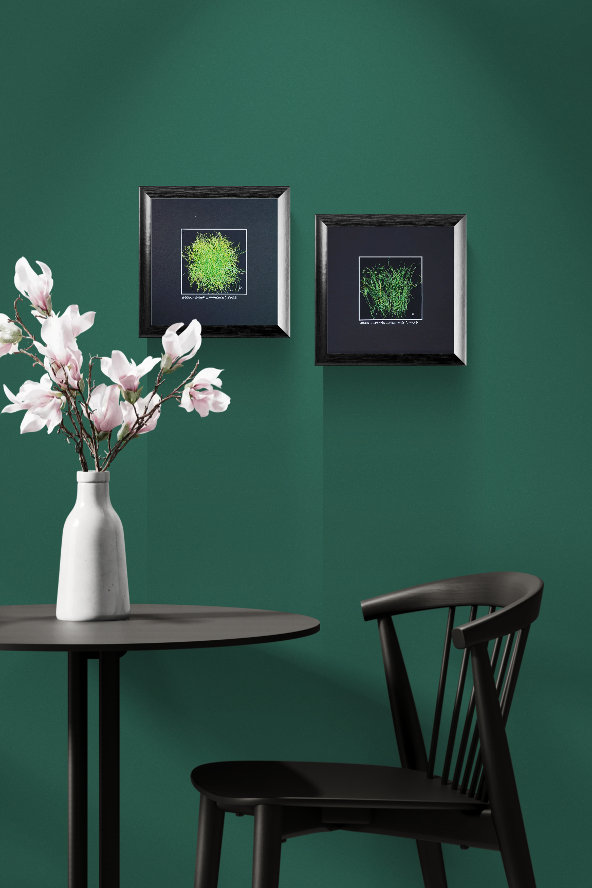 A Whole Load of Hope 2023