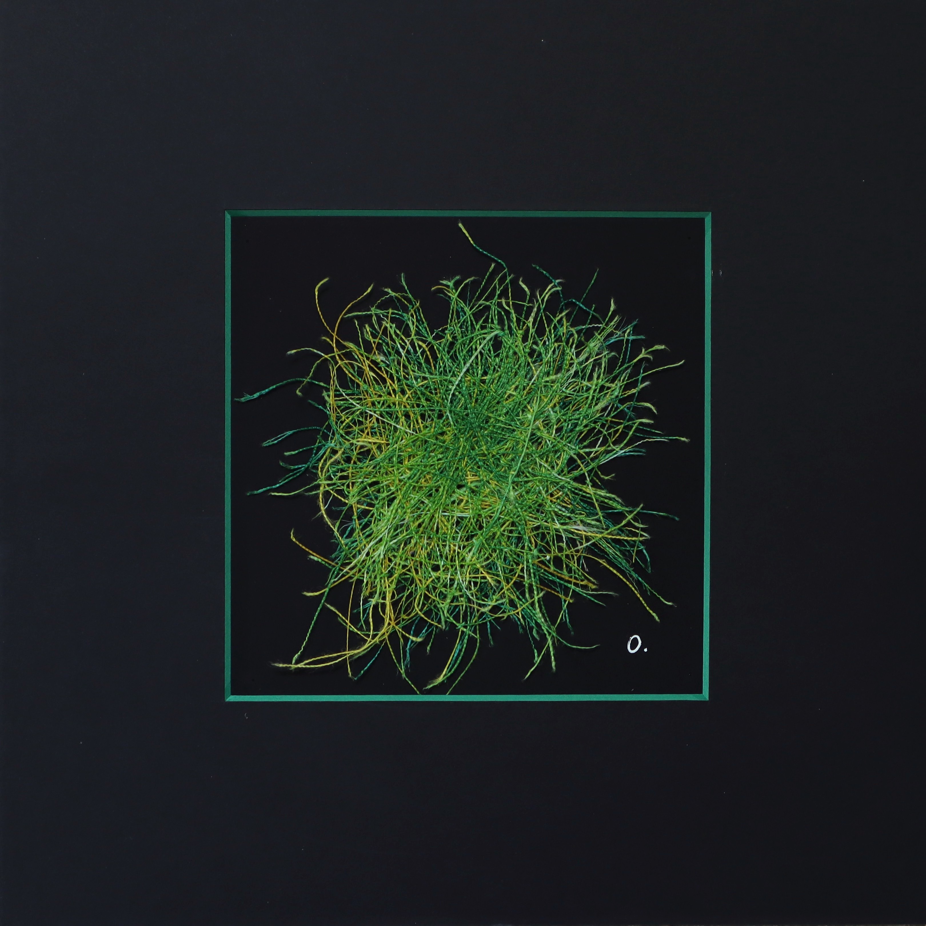 Let's make a Fuss 2023