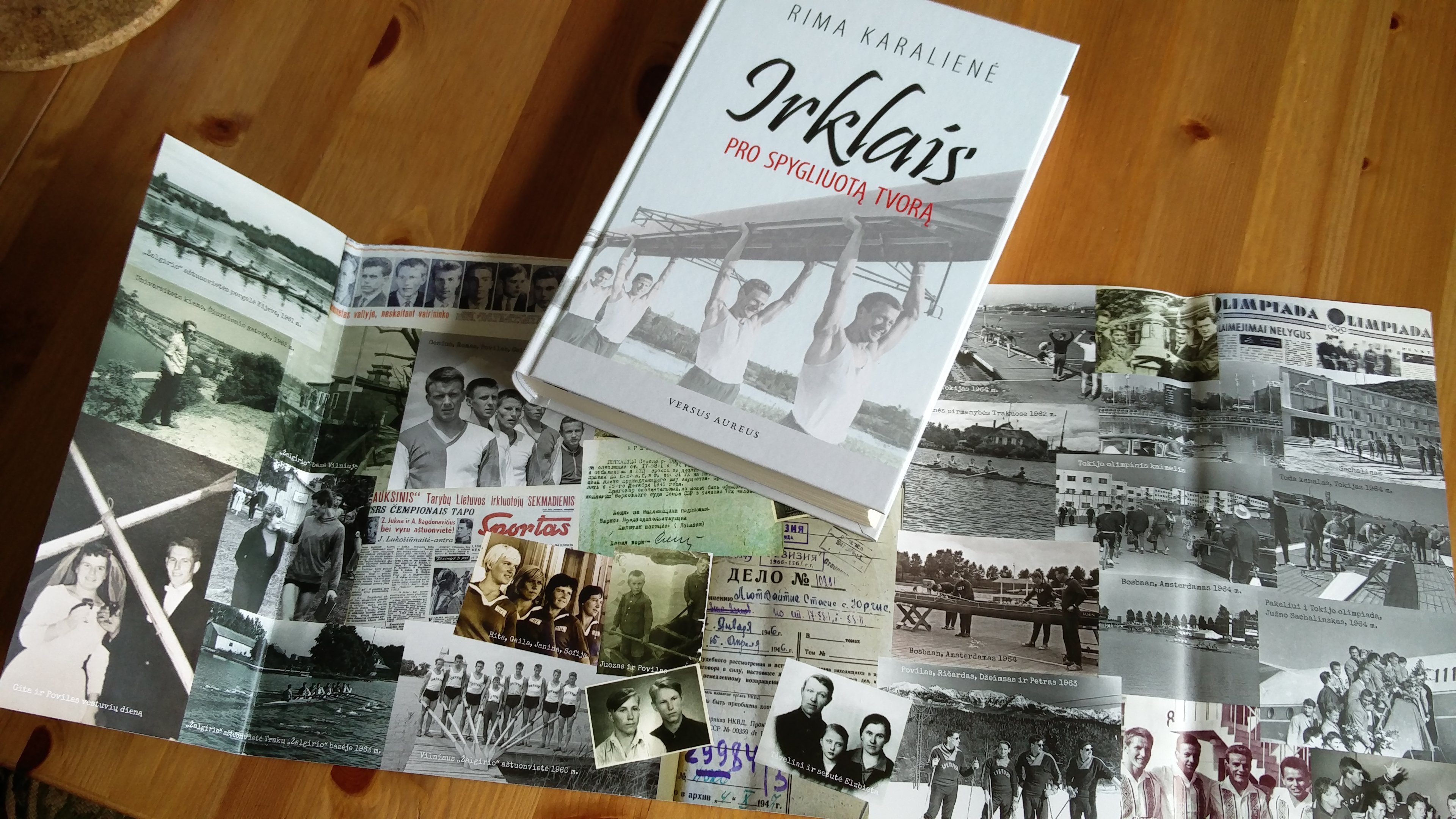 Irklais pro spygliuotą tvorą. Aut. Rima Karalienė 2017