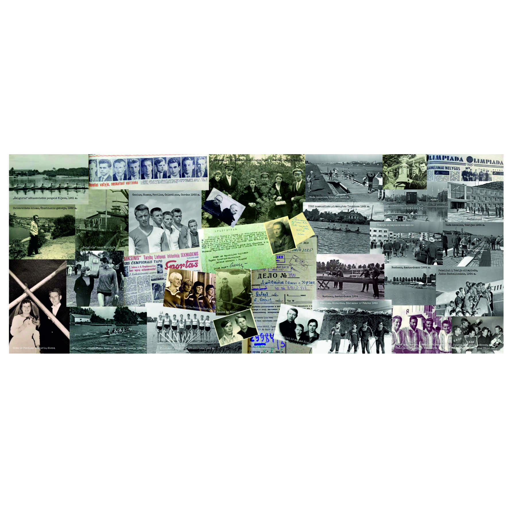 Irklais pro spygliuotą tvorą. Aut. Rima Karalienė 2017