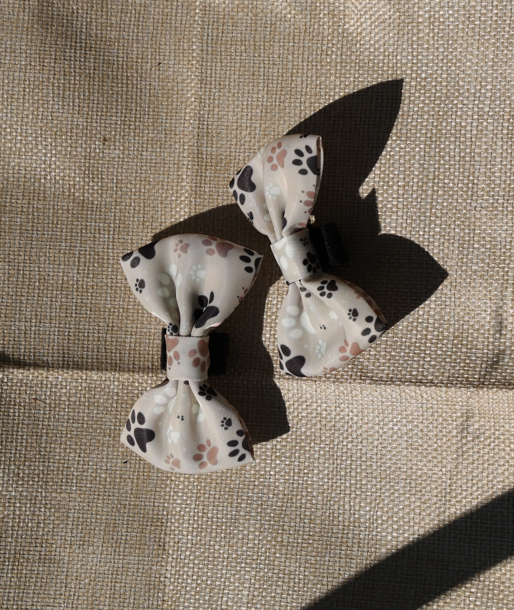 "Beige Paws" Kaspinas