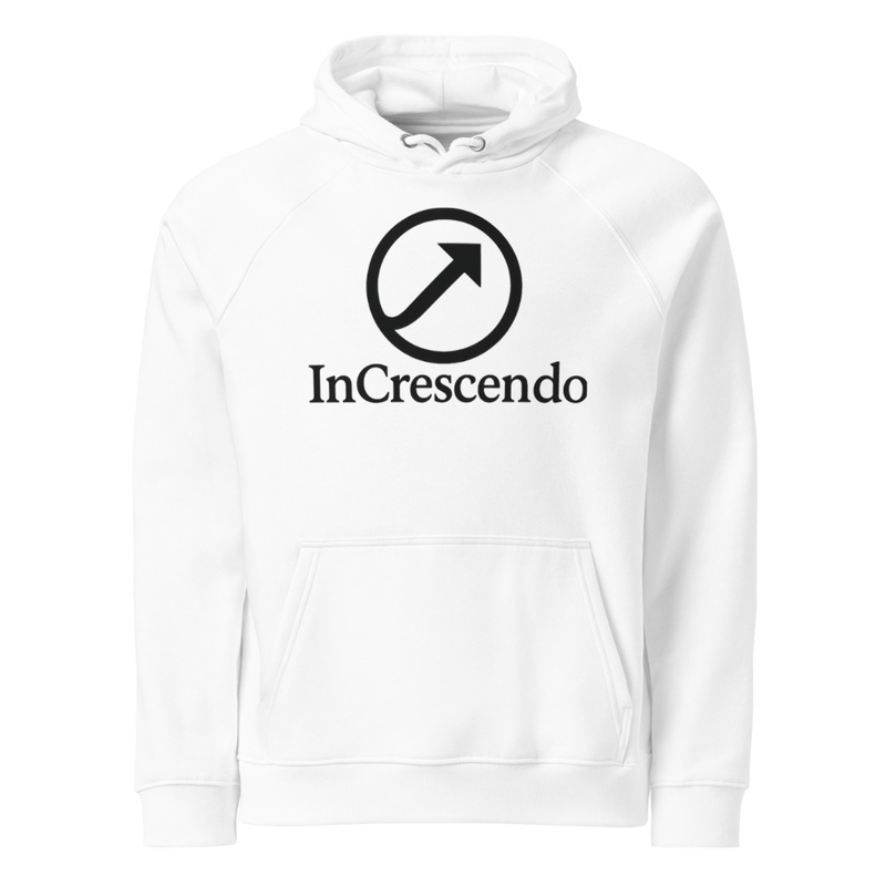 Unisex eco raglan hoodie