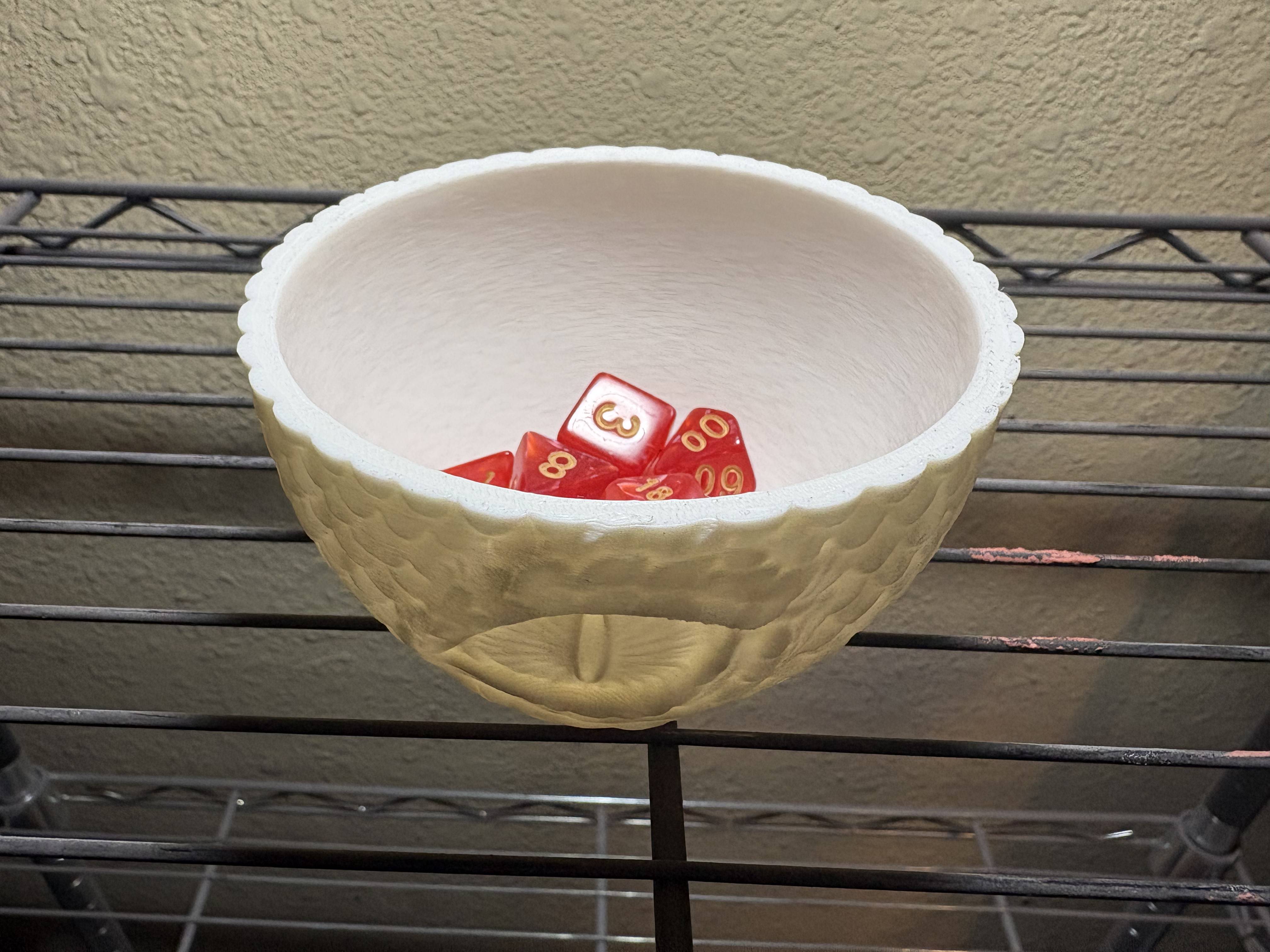 DND Dragon Dice Holder & Dice 