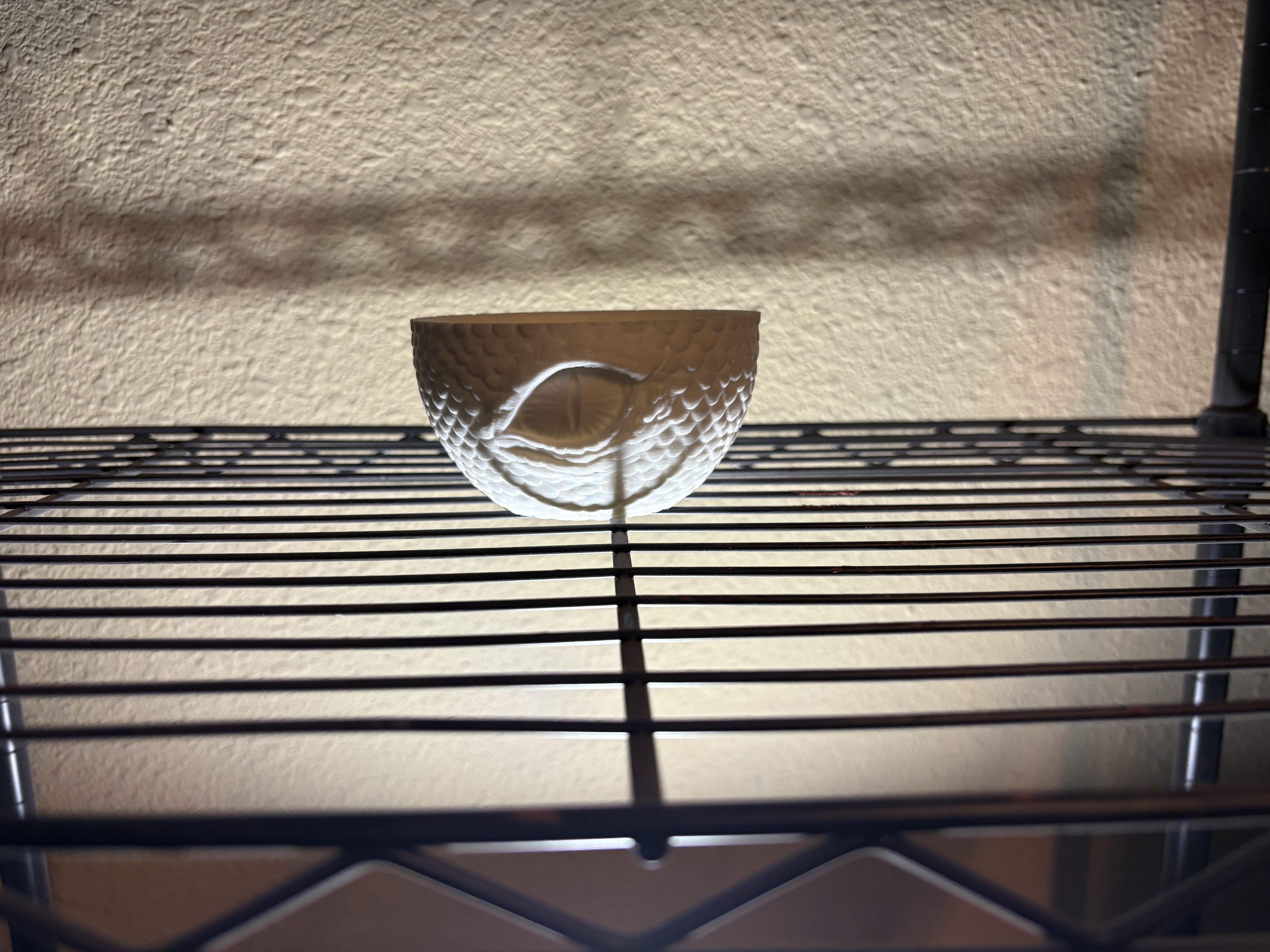 DND Dragon Dice Holder & Dice 