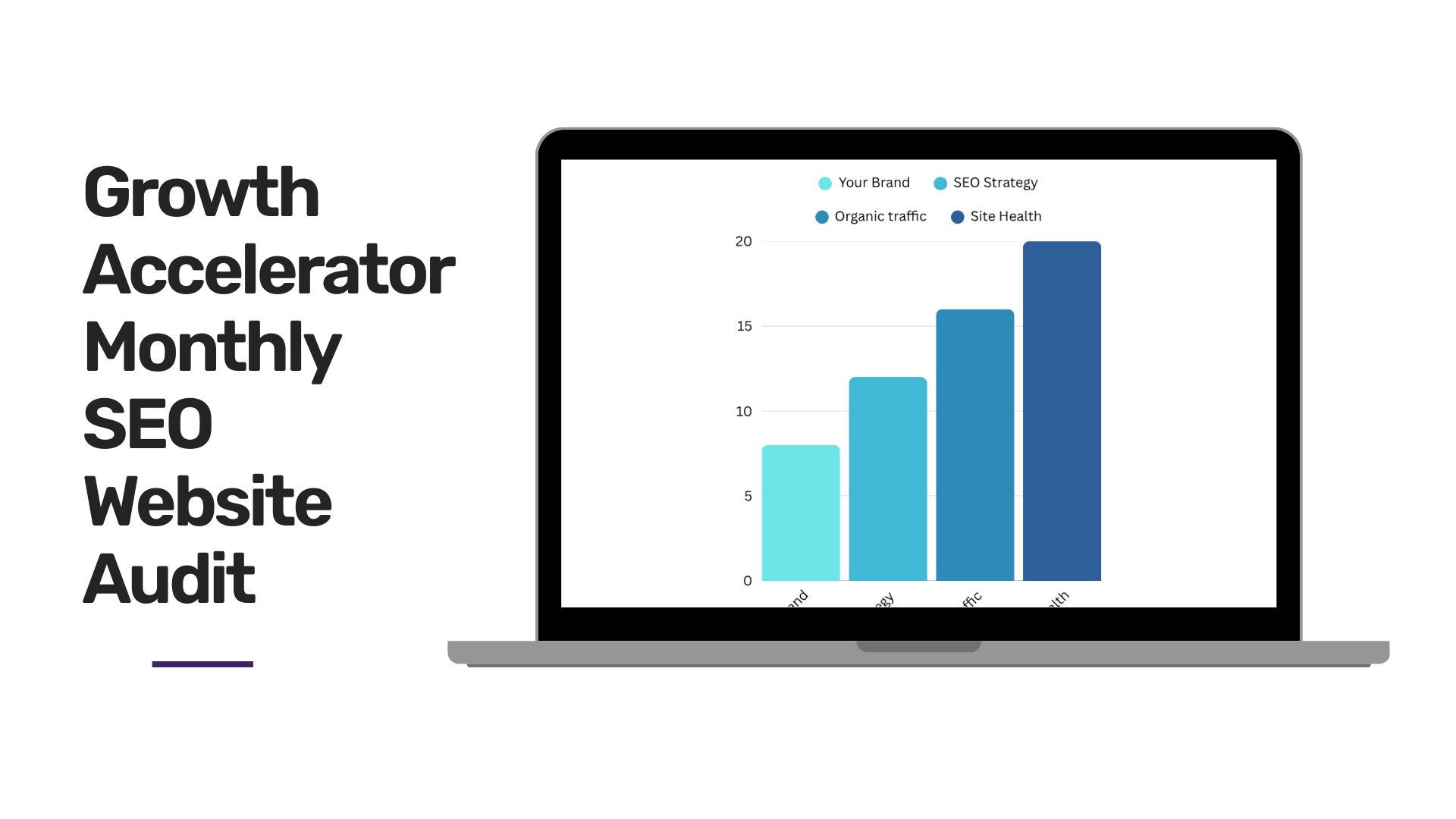Growth Accelerator Monthly SEO Website Audit