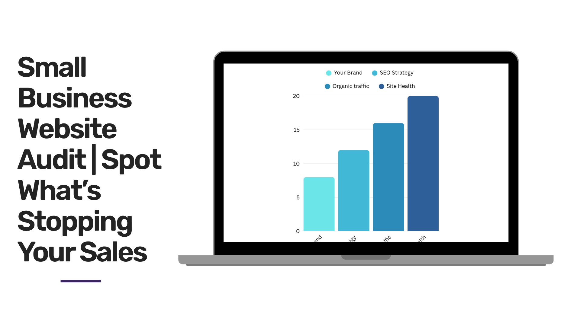Small Business SEO Website Audit 