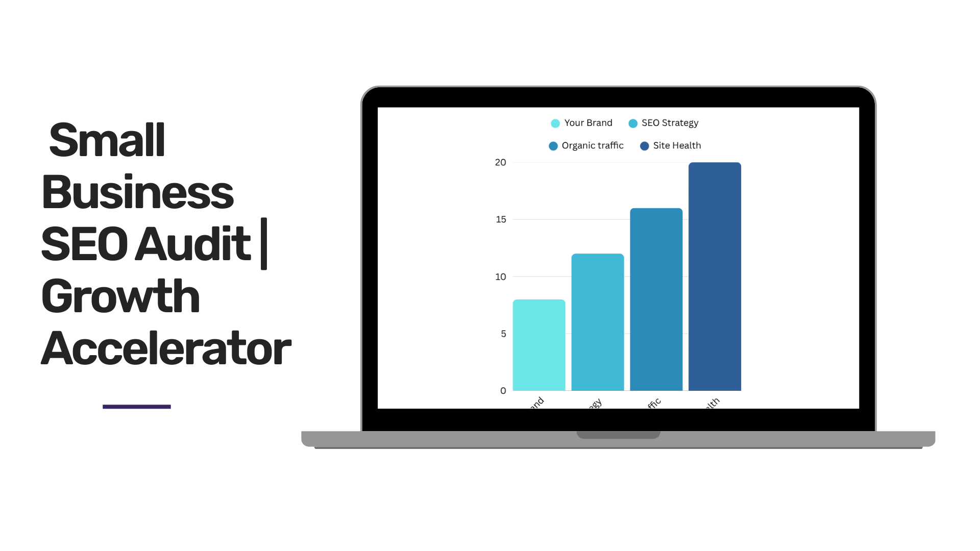 Growth Accelerator SEO Website Audit