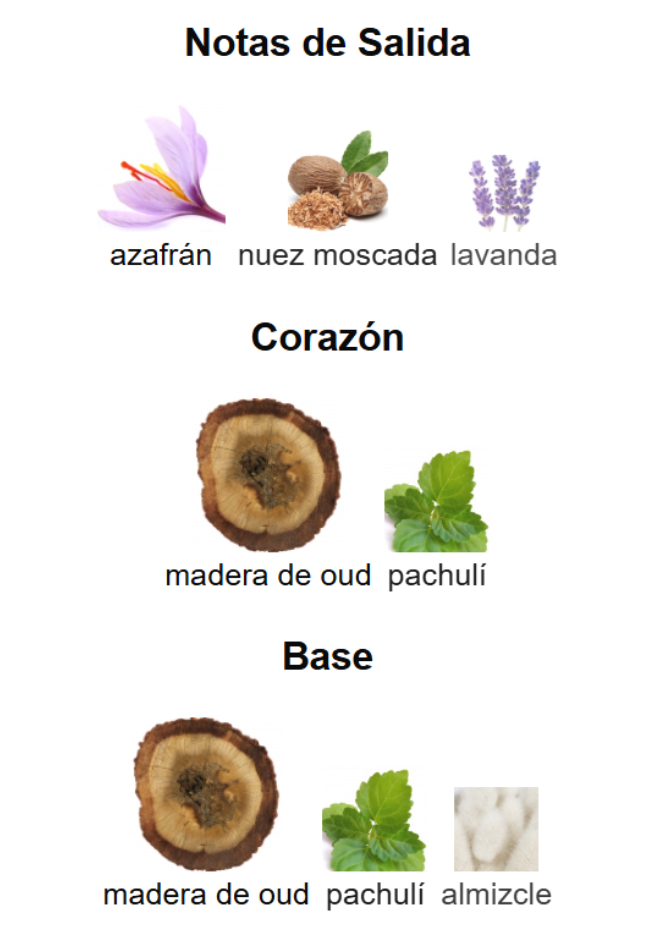 OUD FOR GLORY BADE´E AL OUD